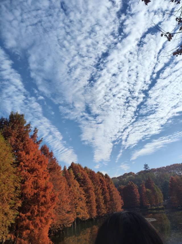 宋瑞个人生活照3