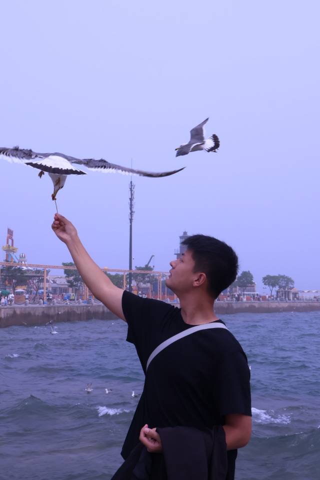 轮播图1