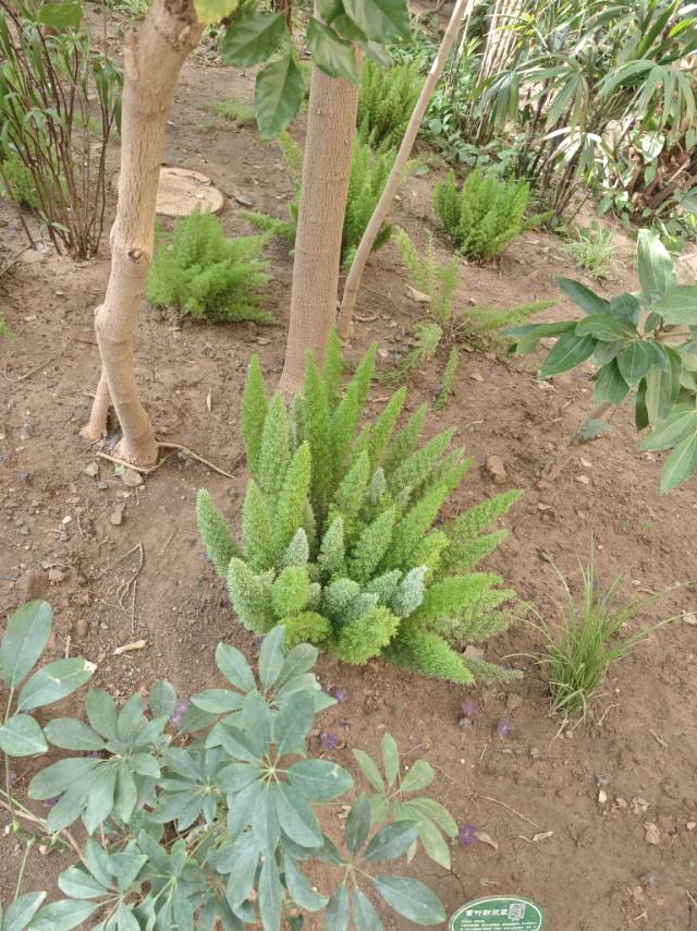 代松涛个人生活照2