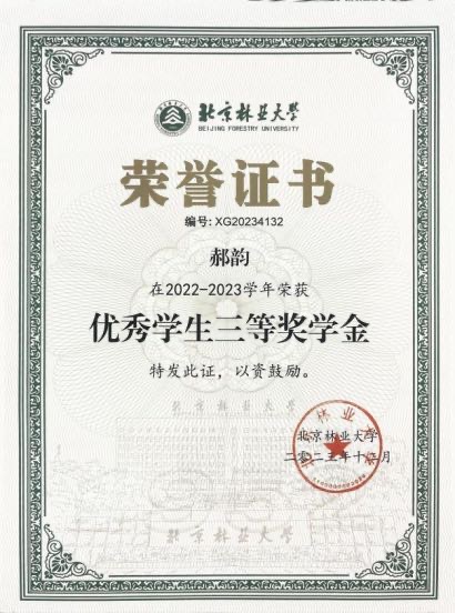 轮播图2