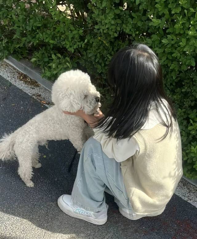 轮播图2