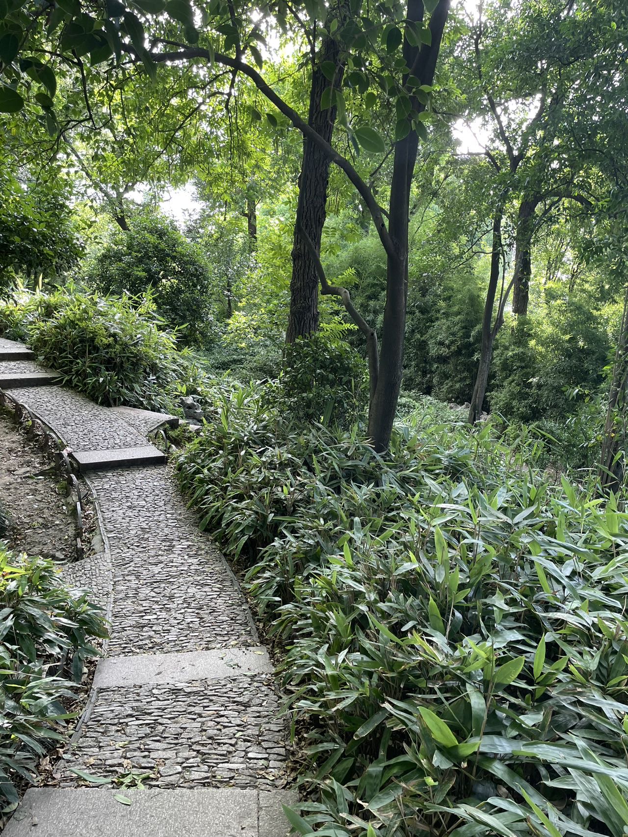 轮播图1