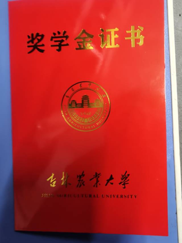 轮播图1
