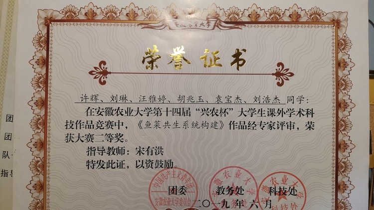刘琳个人生活照5