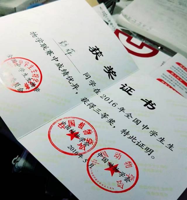 彭菲个人生活照3