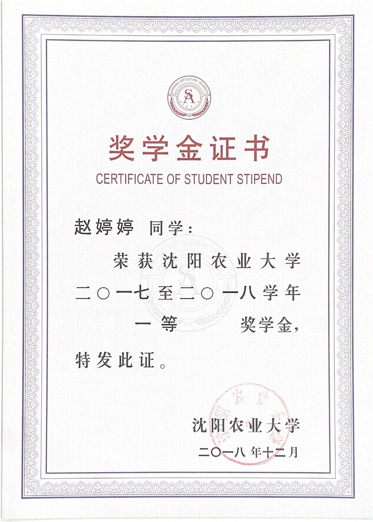 赵婷婷个人生活照8