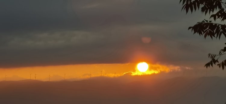 陈涵霖个人生活照2