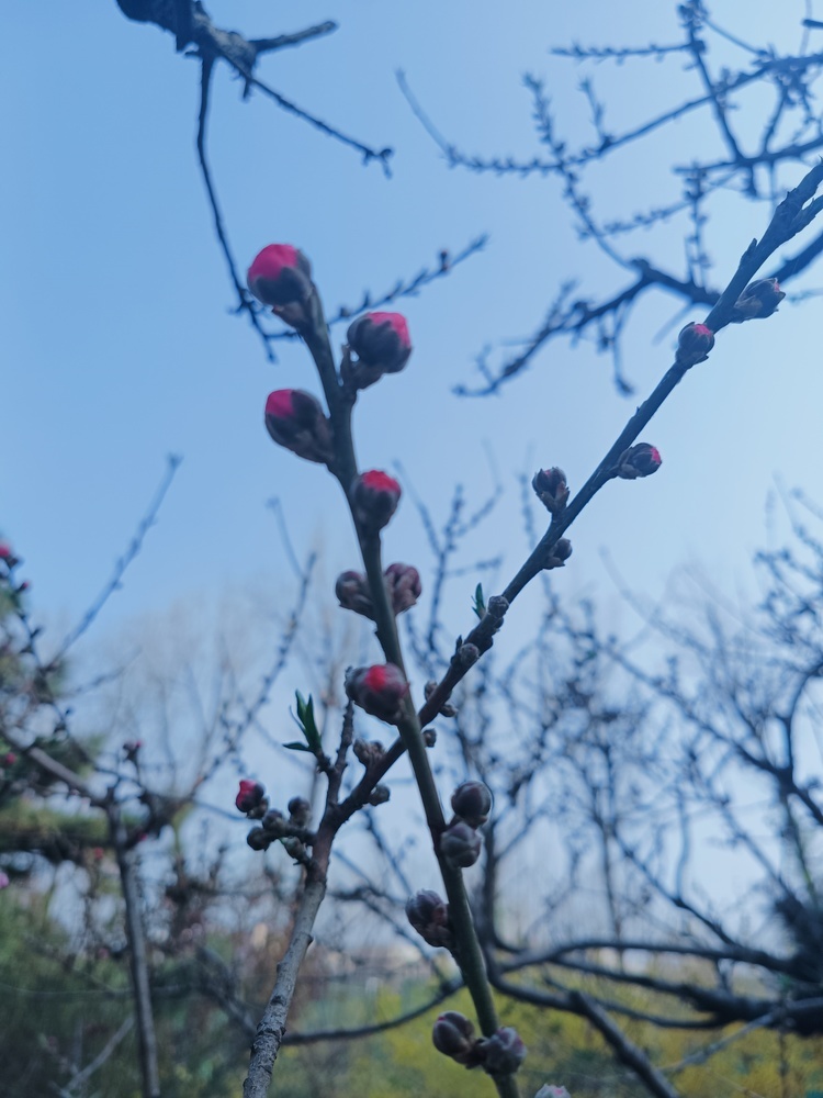 张赟个人生活照2