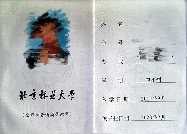 轮播图1