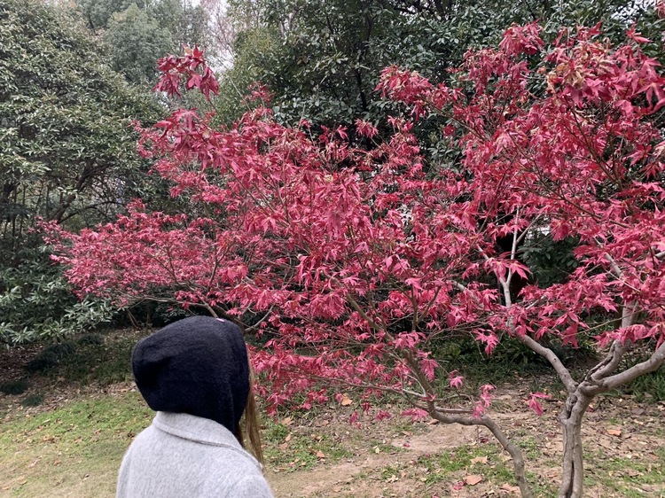 轮播图2