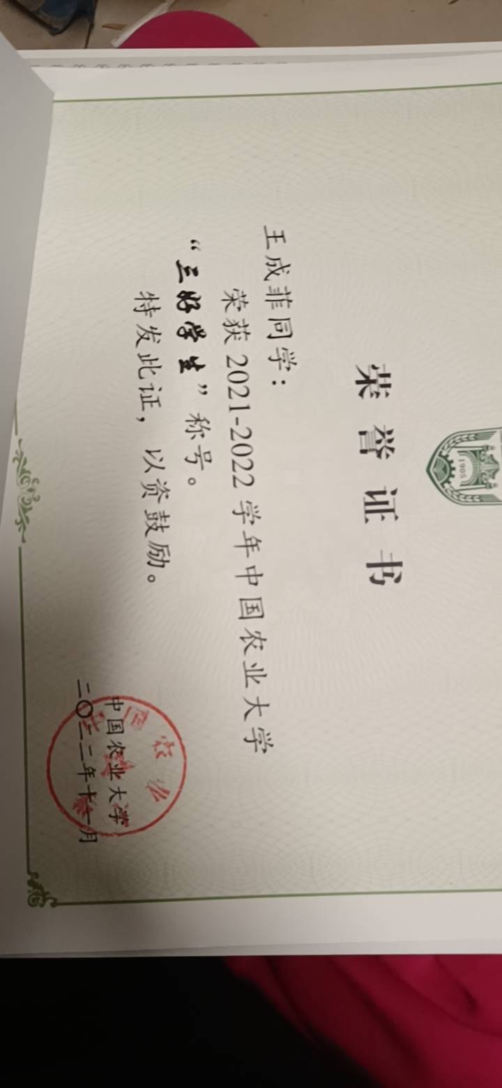 王成菲个人生活照1