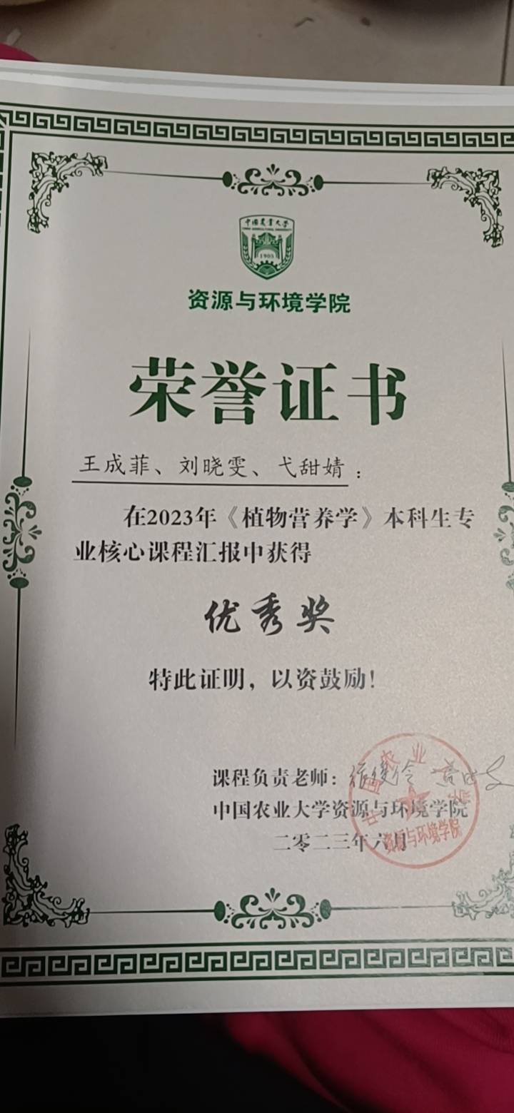 王成菲个人生活照2
