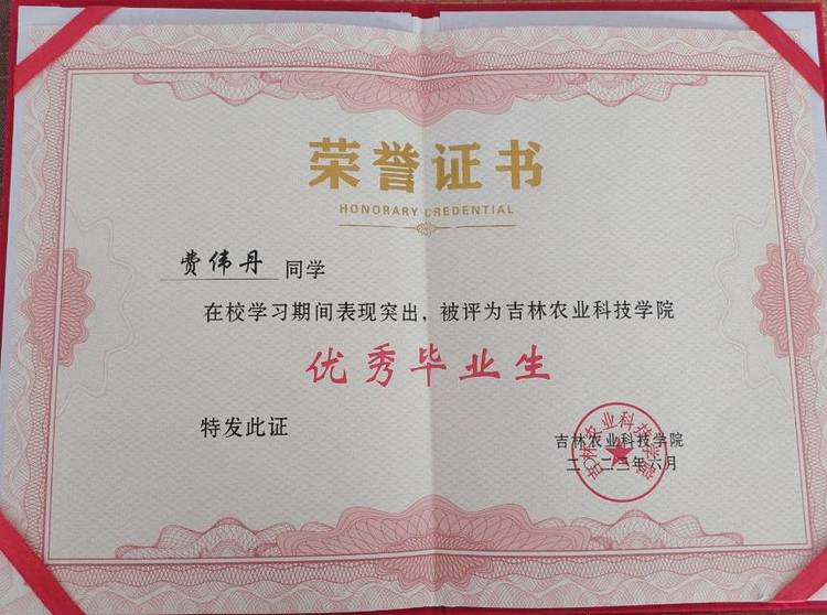 费伟丹个人生活照2