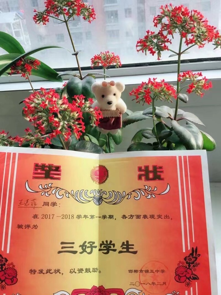 王诺菲个人生活照1