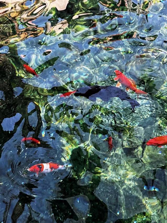 李瑞庭个人生活照3