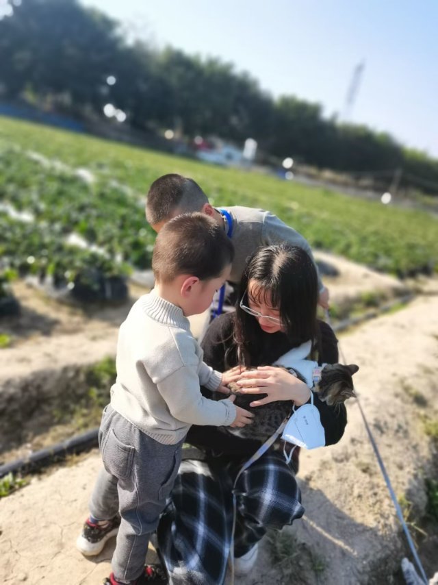 轮播图1