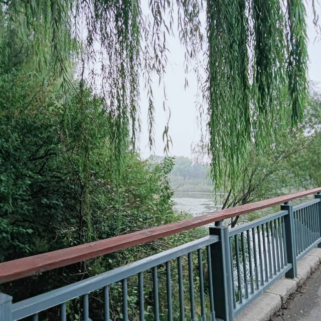 轮播图3