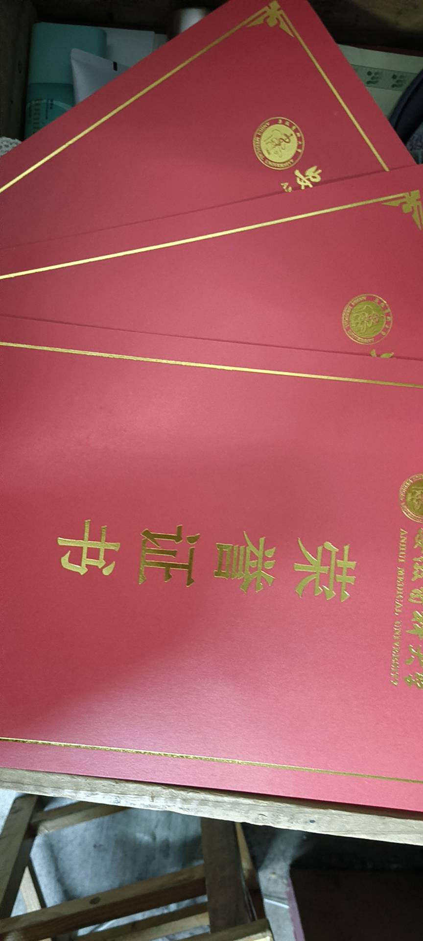 韦笑个人生活照2