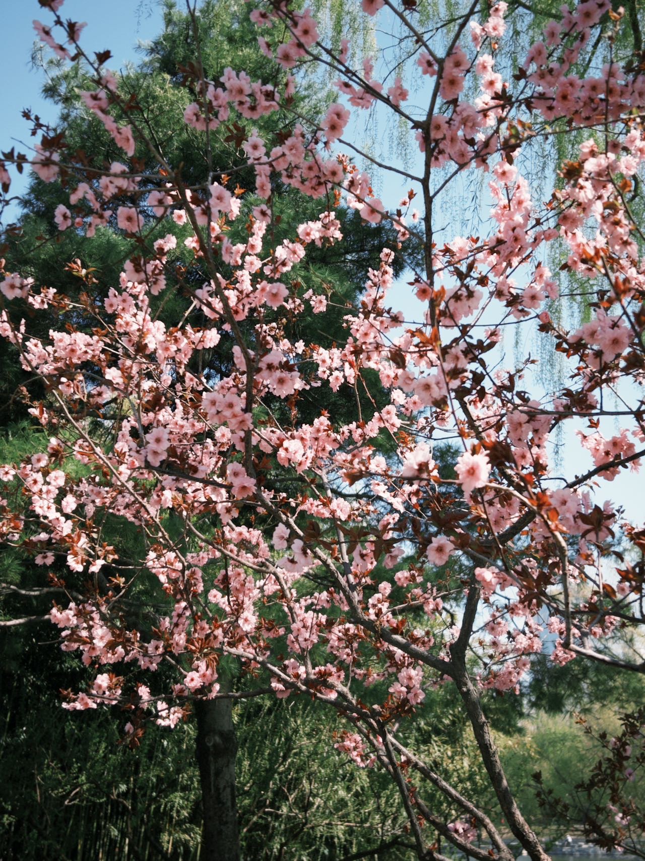 高教员个人生活照1