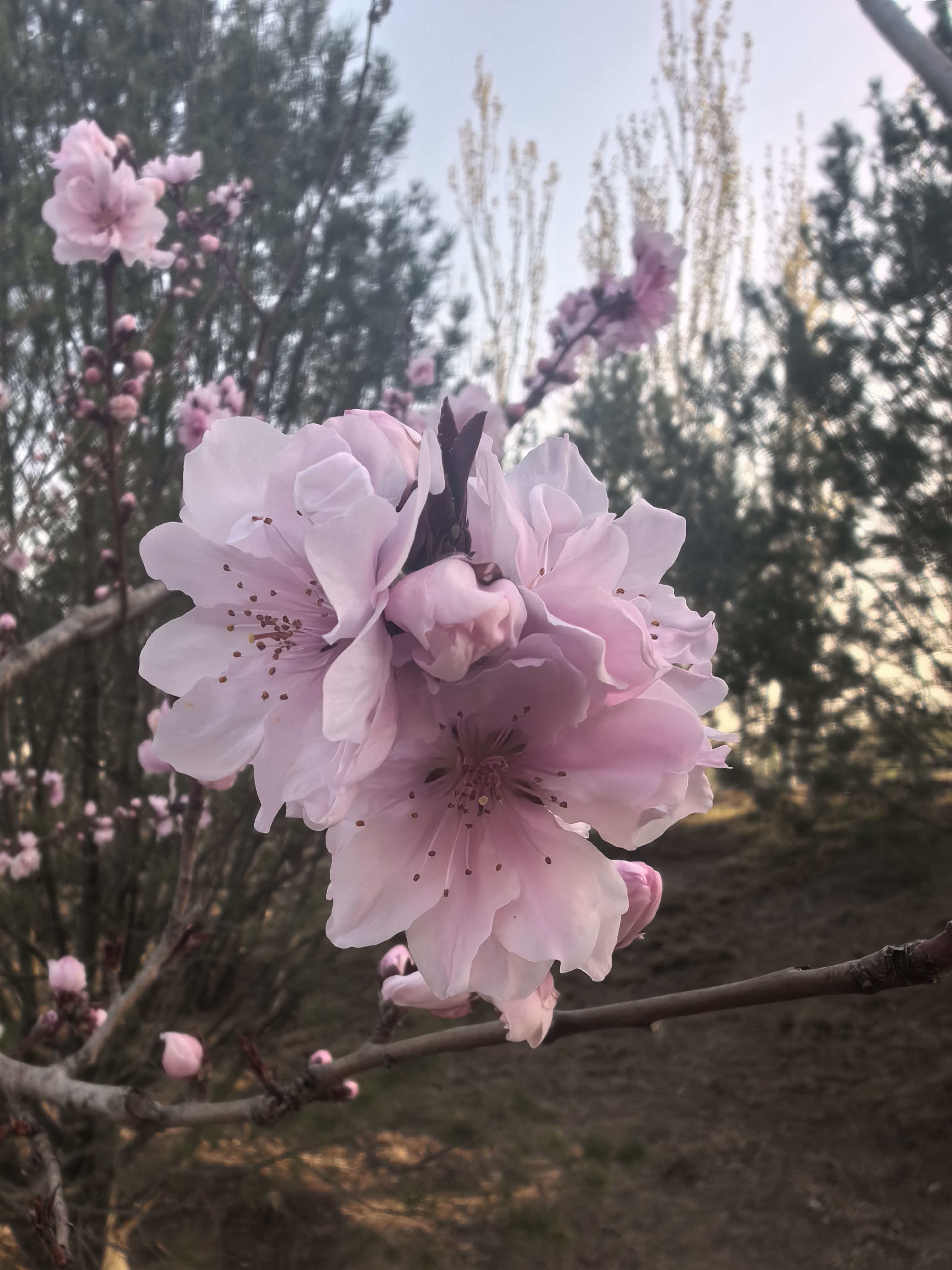 轮播图1