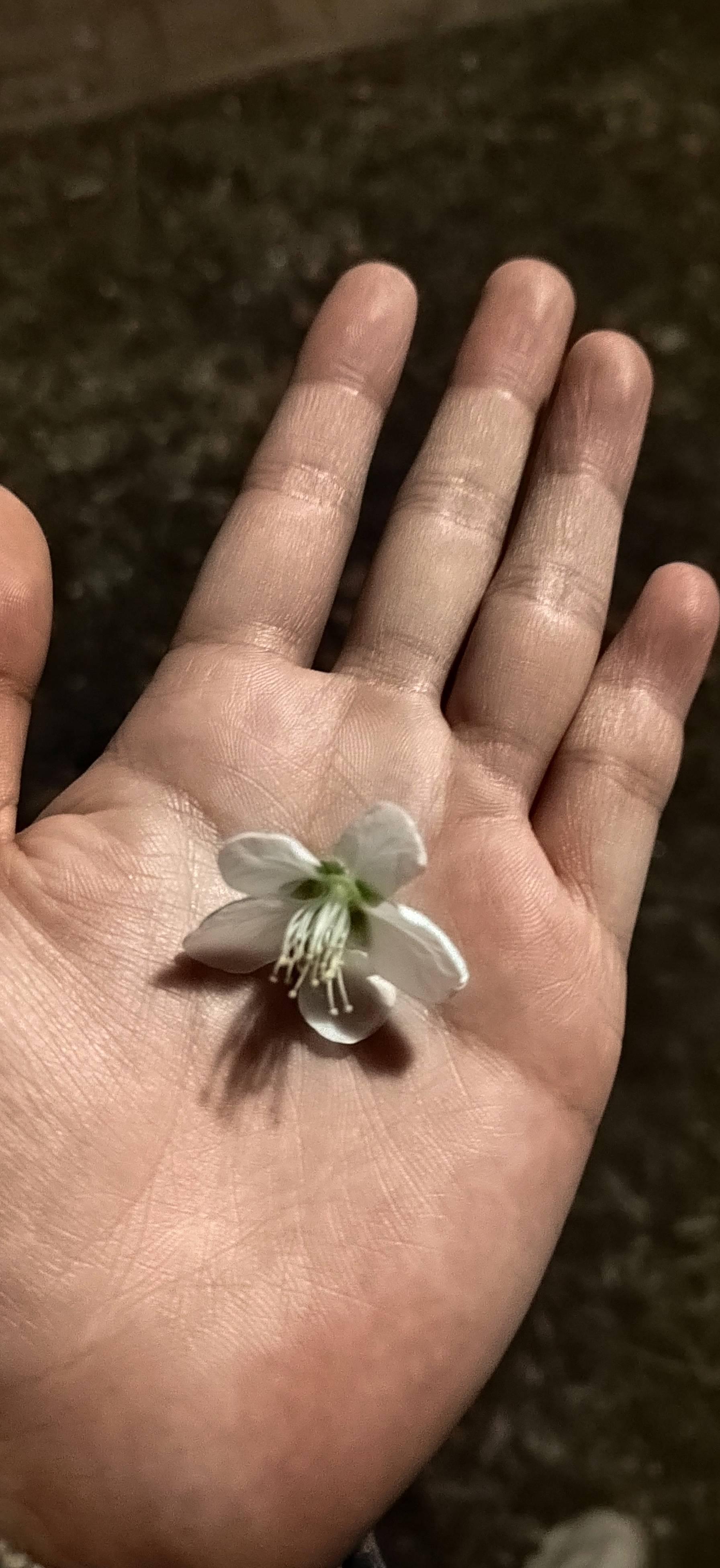 陈曦个人生活照1