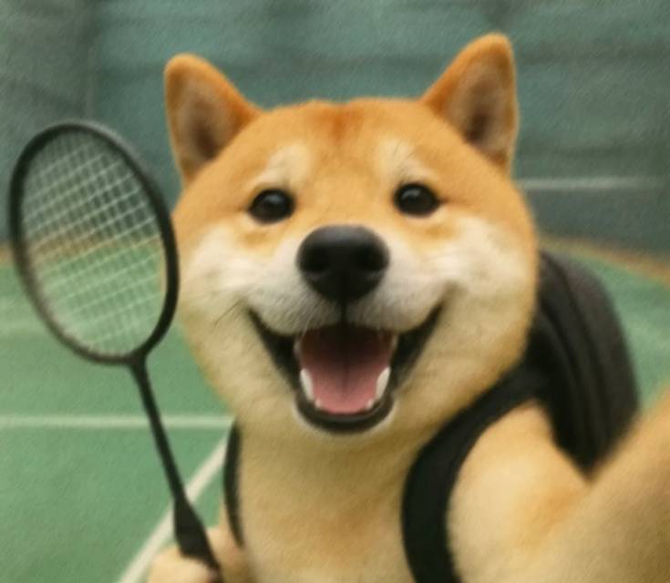 轮播图1