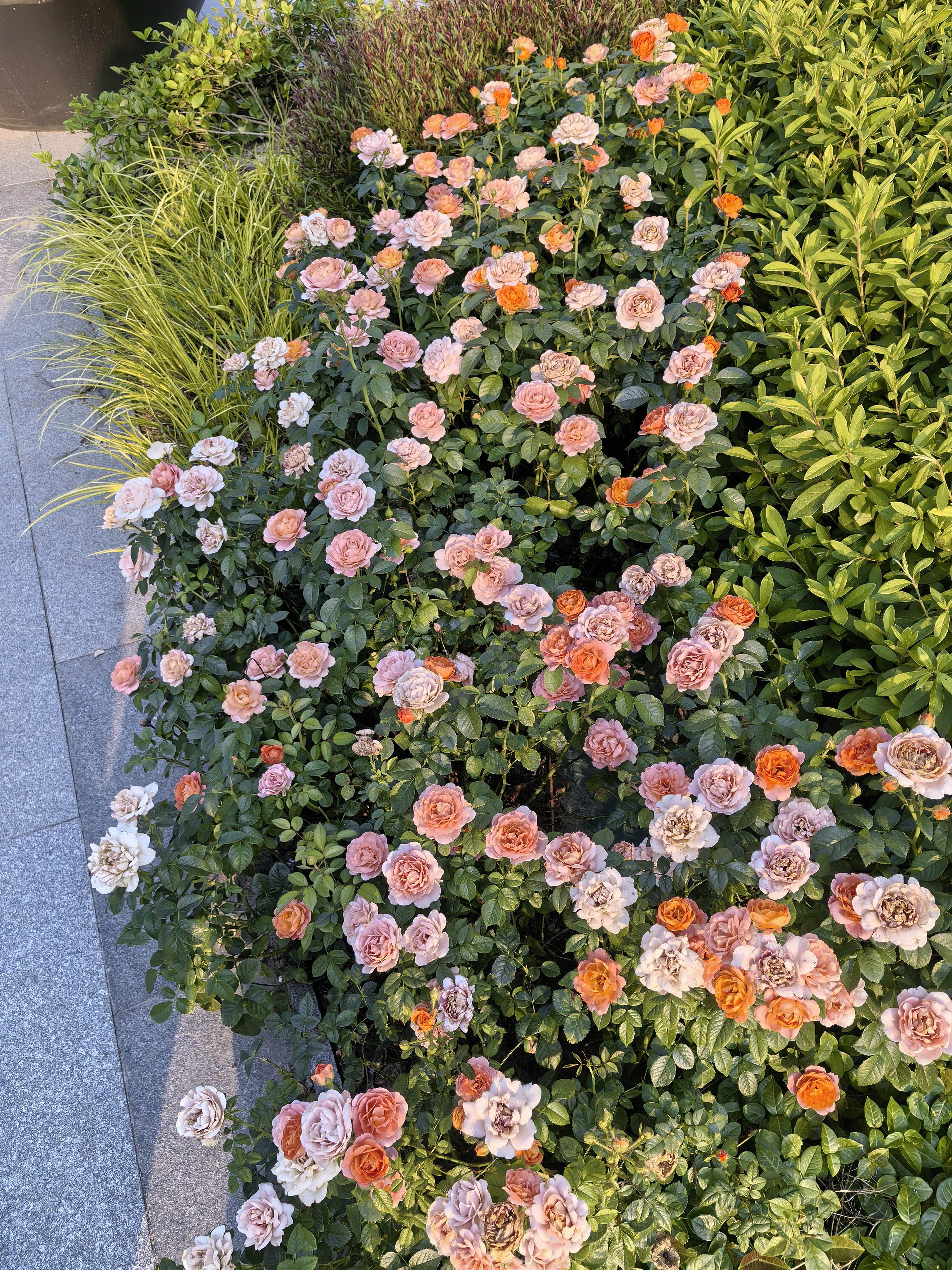 聂心吟个人生活照1