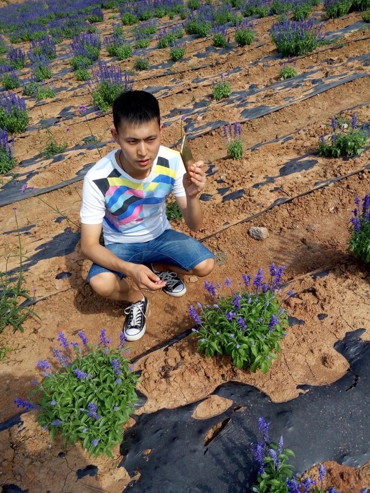 何鹏个人生活照1