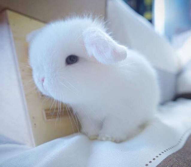 乔乔个人生活照1