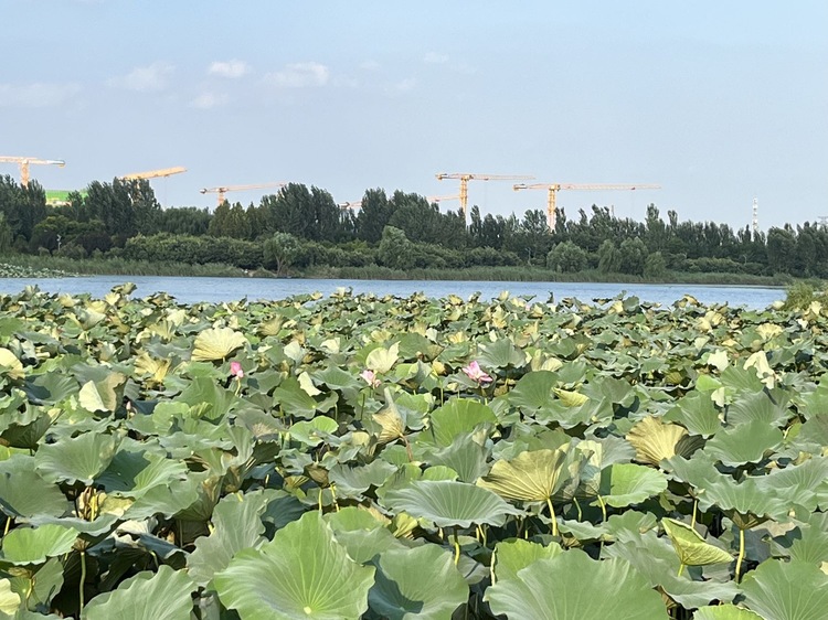 徐老师_北京家教老师轮播图2