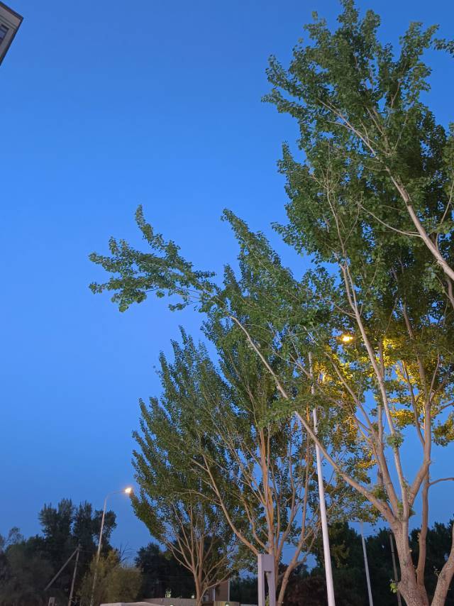 齐欣个人生活照1
