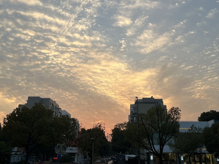 谢丹个人生活照1