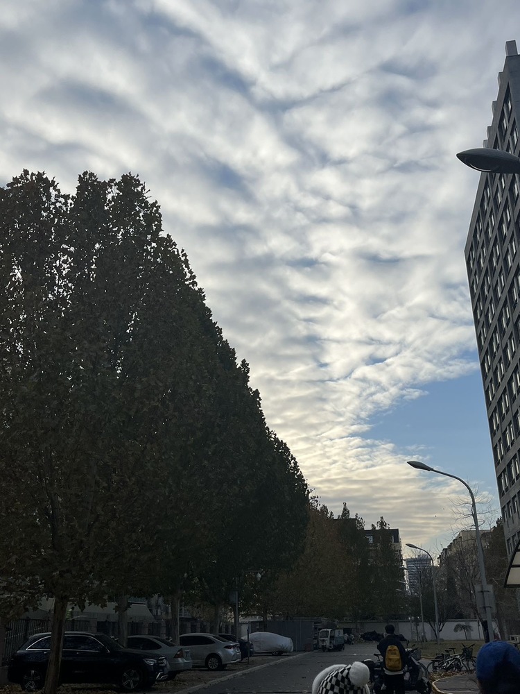 高美琪个人生活照1