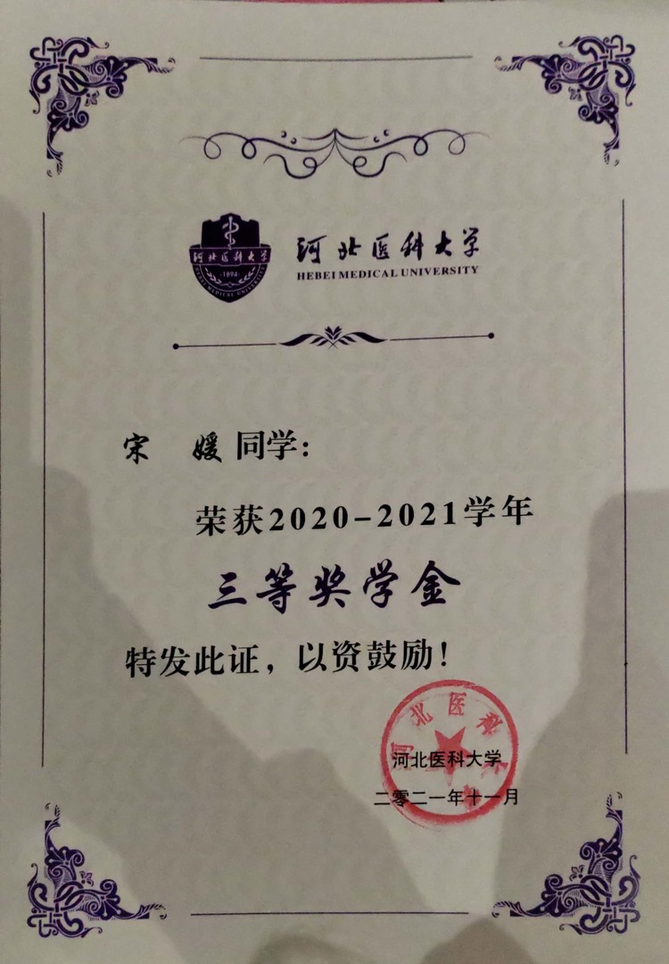 宋媛个人生活照2