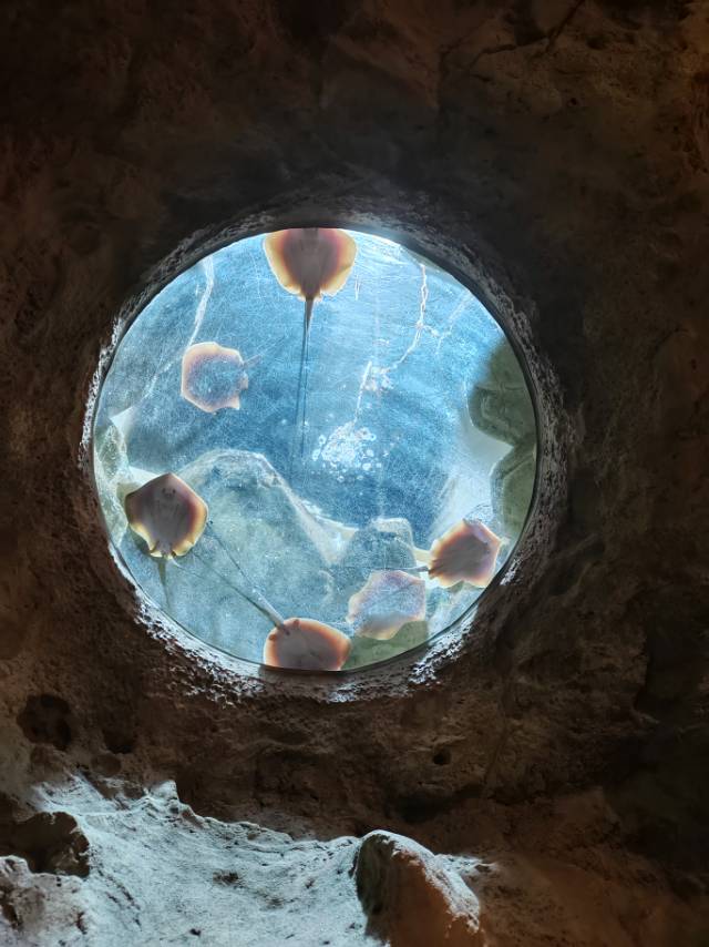 李佳蔚个人生活照1