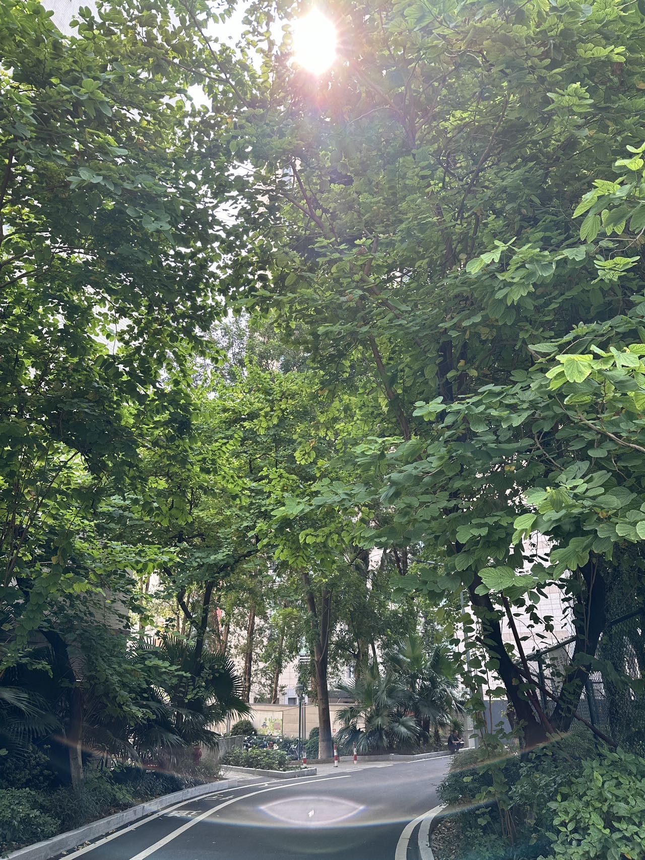 闫雅雯个人生活照1