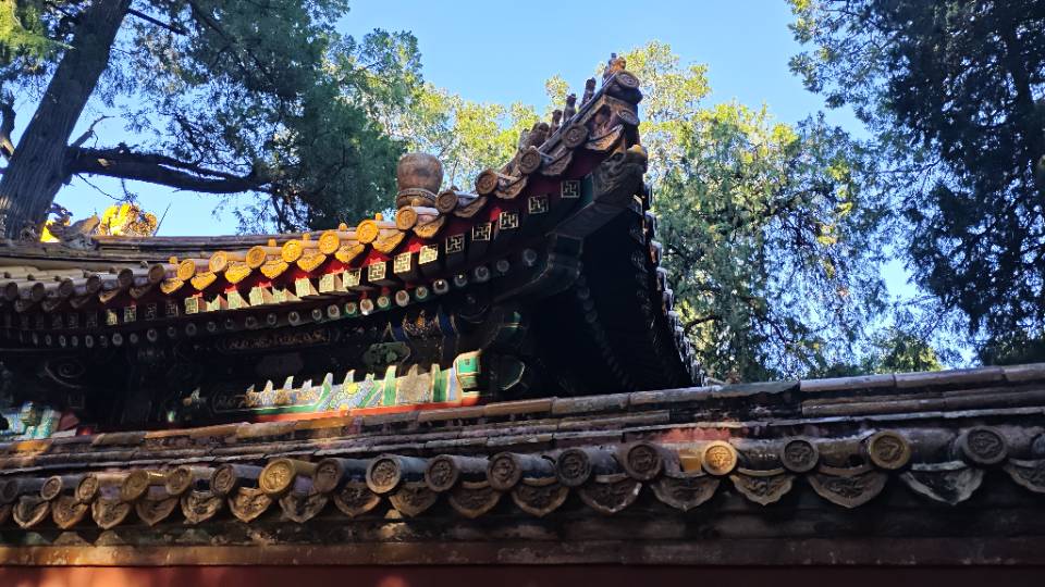 唐诗璞个人生活照3