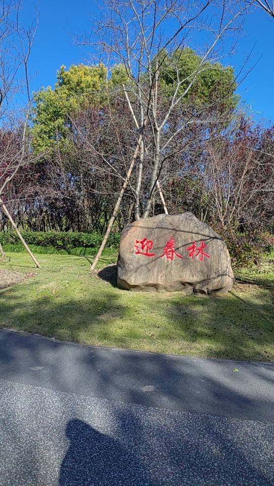朱敏个人生活照1