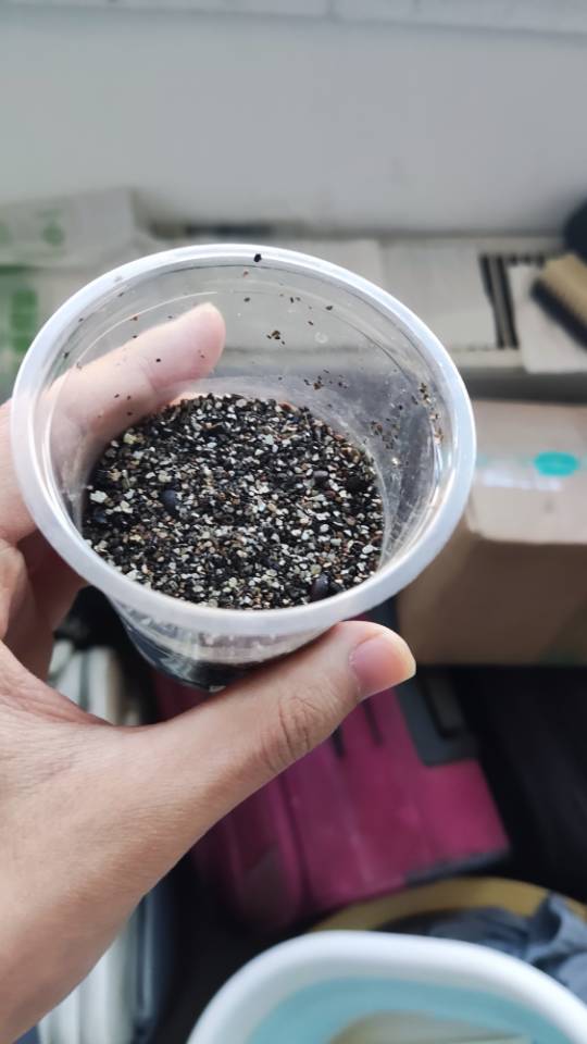 马淋海个人生活照1