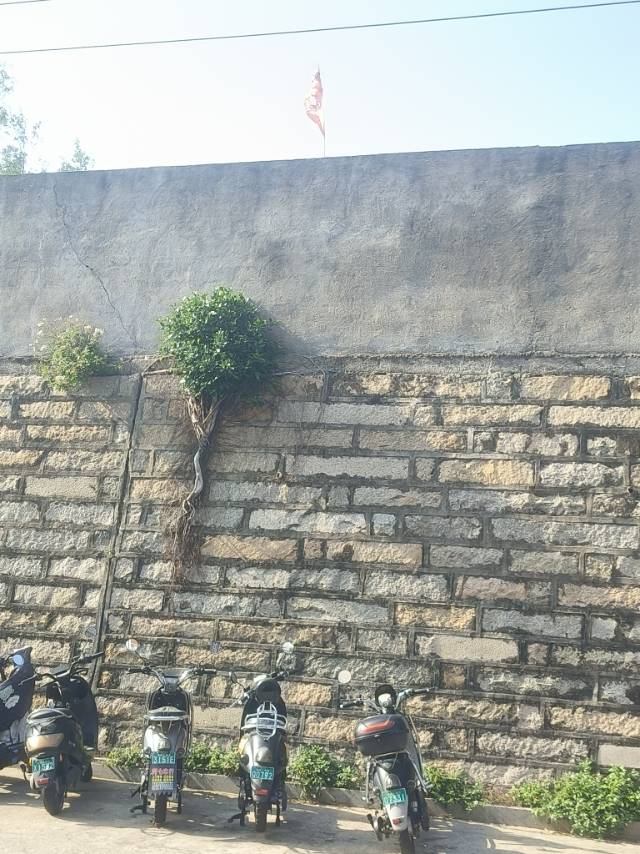 刘教员个人生活照1