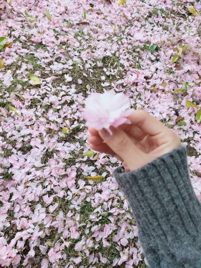 秦妍个人生活照1