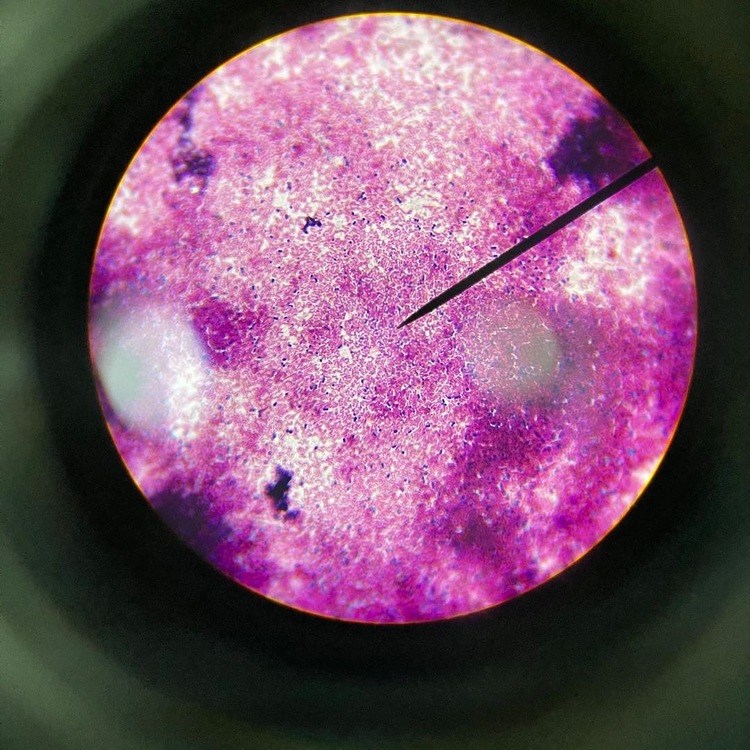 王姝慧个人生活照4