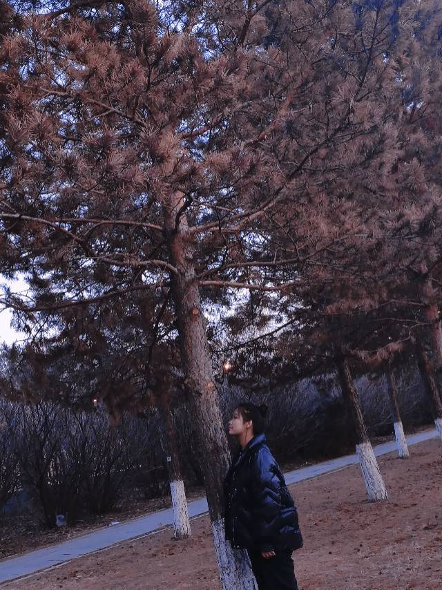 杨瑶个人生活照4