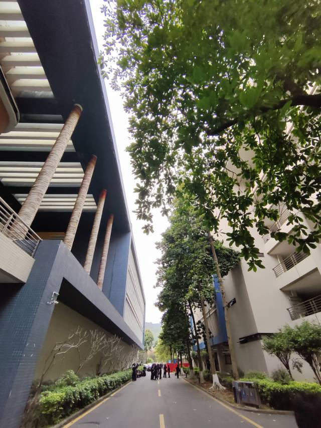 陈家乐个人生活照3