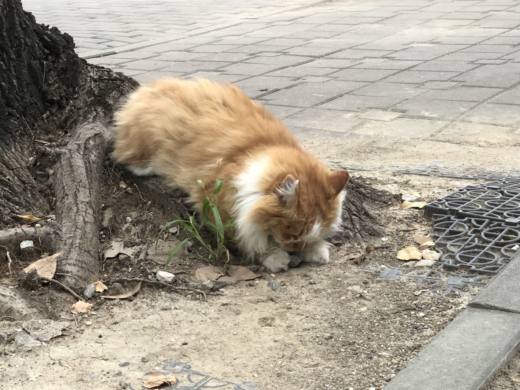 李杭枝个人生活照1