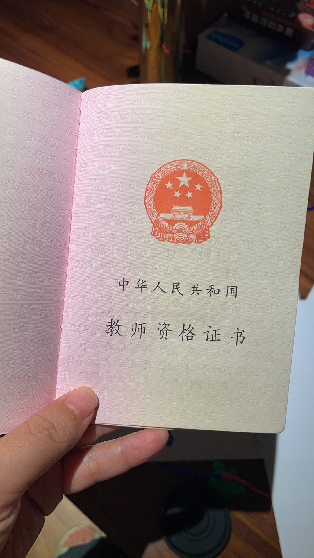 丁莹个人生活照2