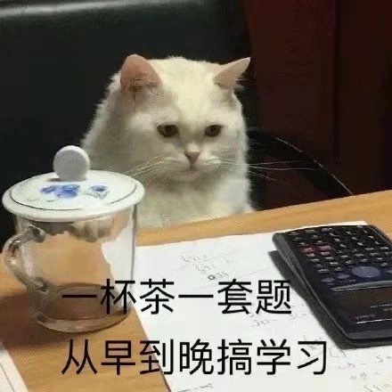 叶语琦个人生活照2