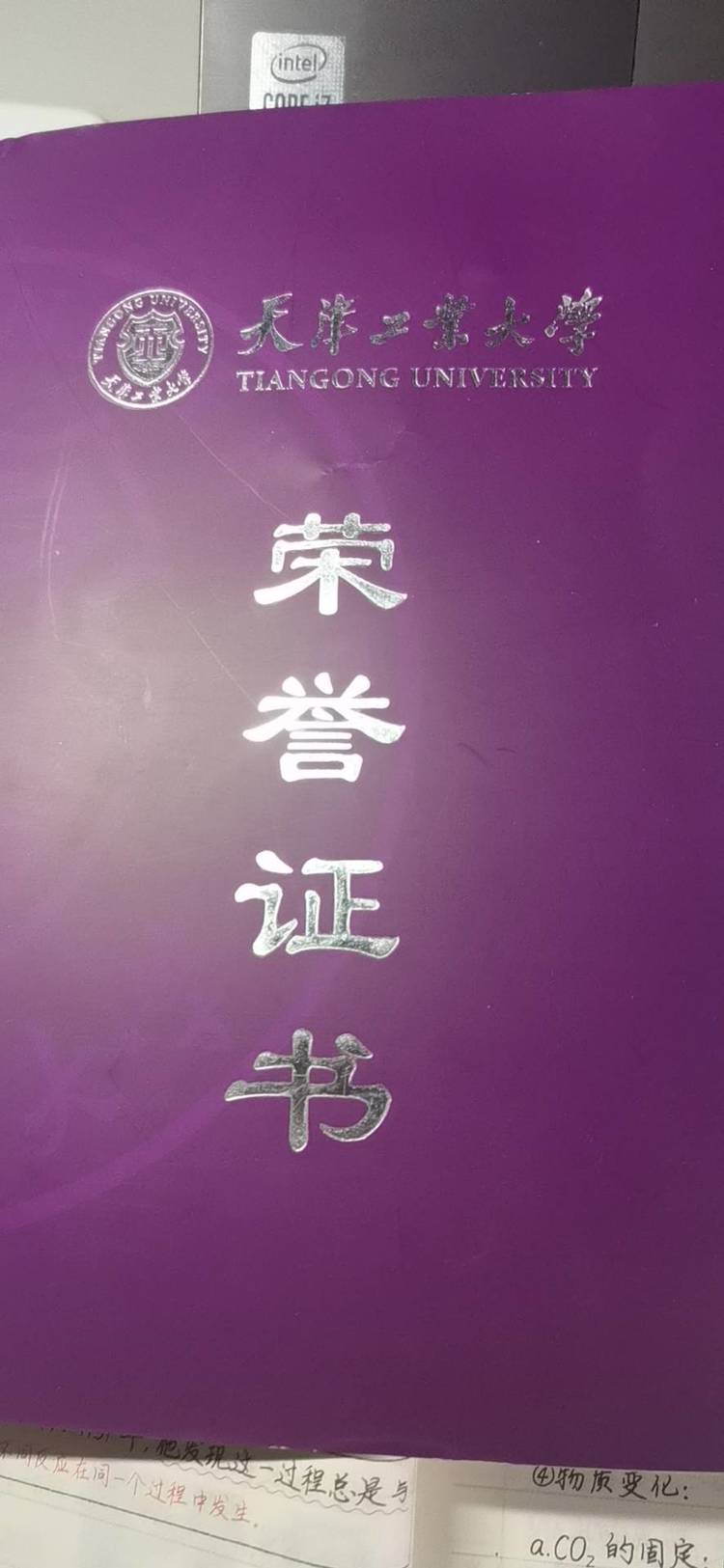 陈远航个人生活照1