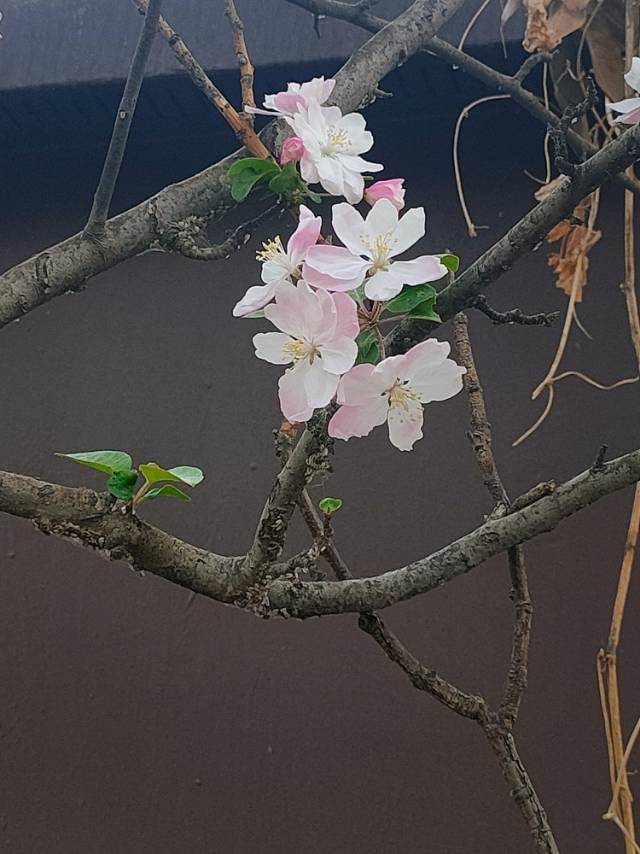 于梓盈个人生活照1