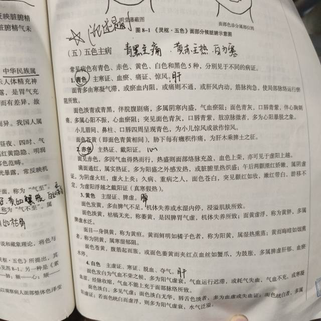 杜梦宇个人生活照2